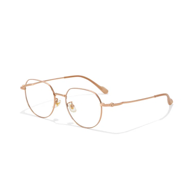 PARMU Silver Titanium Optical Frame