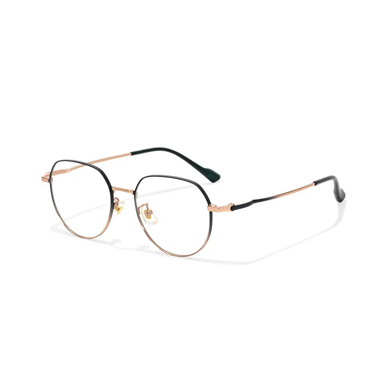 PARMU Silver Titanium Optical Frame