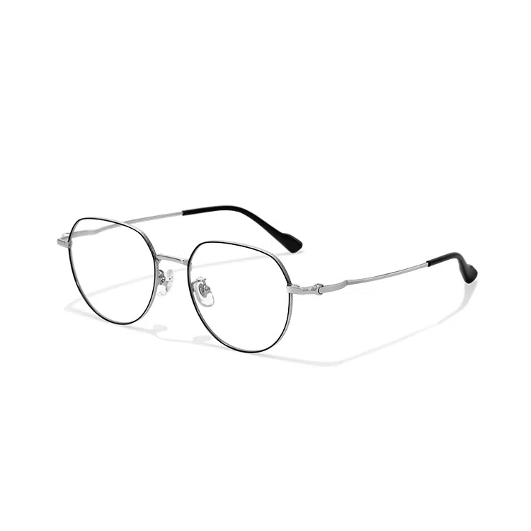 PARMU Silver Titanium Optical Frame