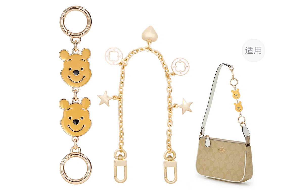 Disney coachnolita19 diy