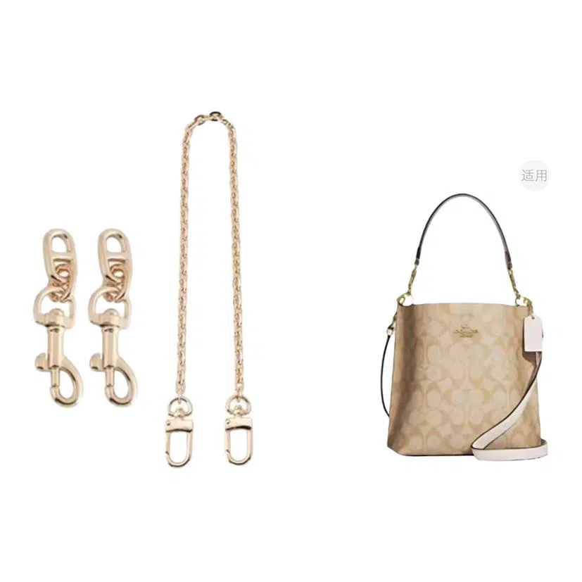 COACH Mollie BUCKET 22