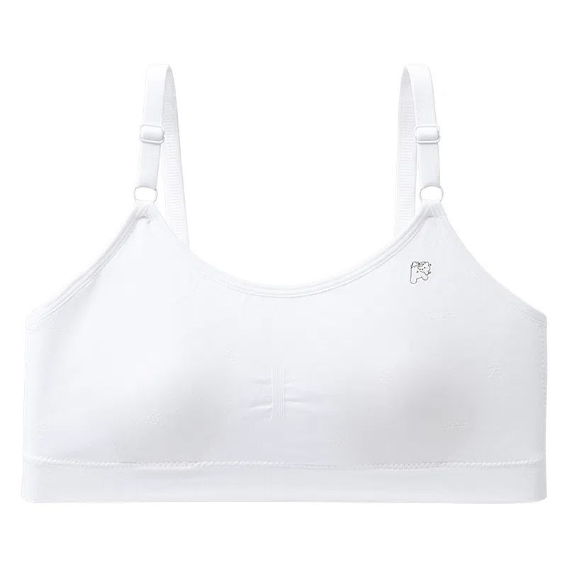 二三二三 运动聚拢有型防下垂亲肤柔软无痕侧收副乳抗菌松弛感美背简约日常无钢圈可调节肩带文胸 女款