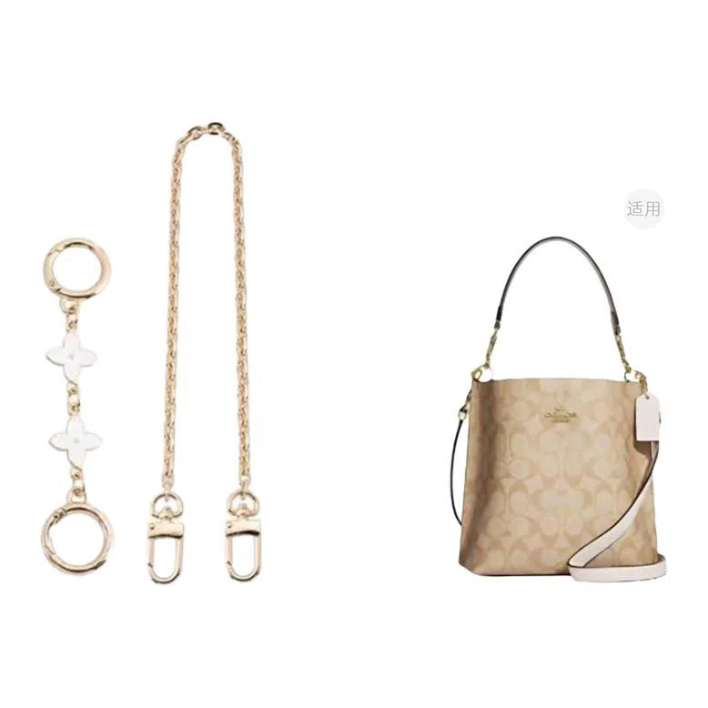 COACH Mollie BUCKET 22