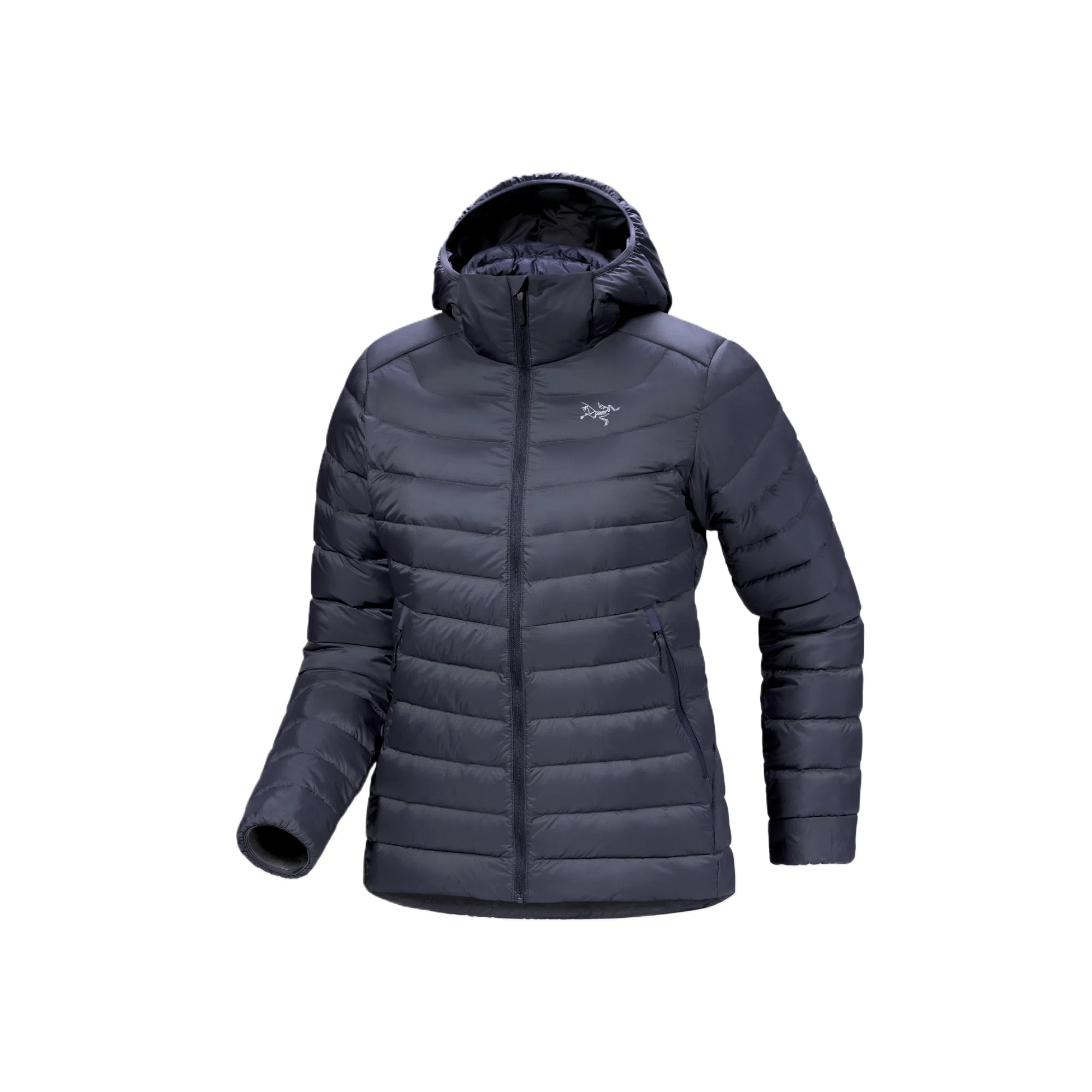 Arcteryx Cerium LT 850logo