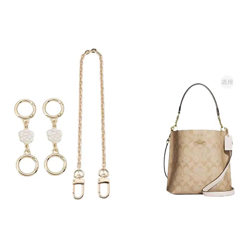 COACH Mollie BUCKET 22