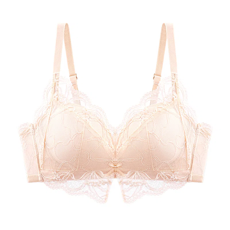 二三二三 纯欲蕾丝透气吸汗聚拢塑型防下垂亲肤柔软舒适氛围感美背时尚日常百搭无钢圈可调节肩带文胸 女款