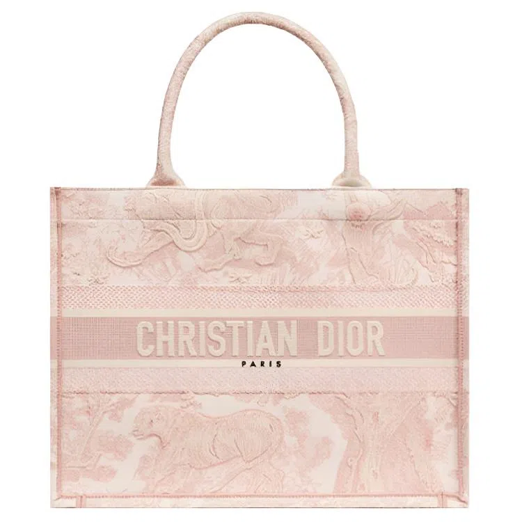 Dior Book Tote