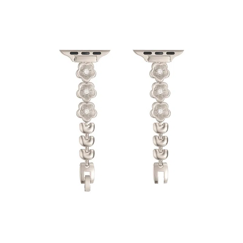 FZRT Huawei Fit Strap Metal Chain