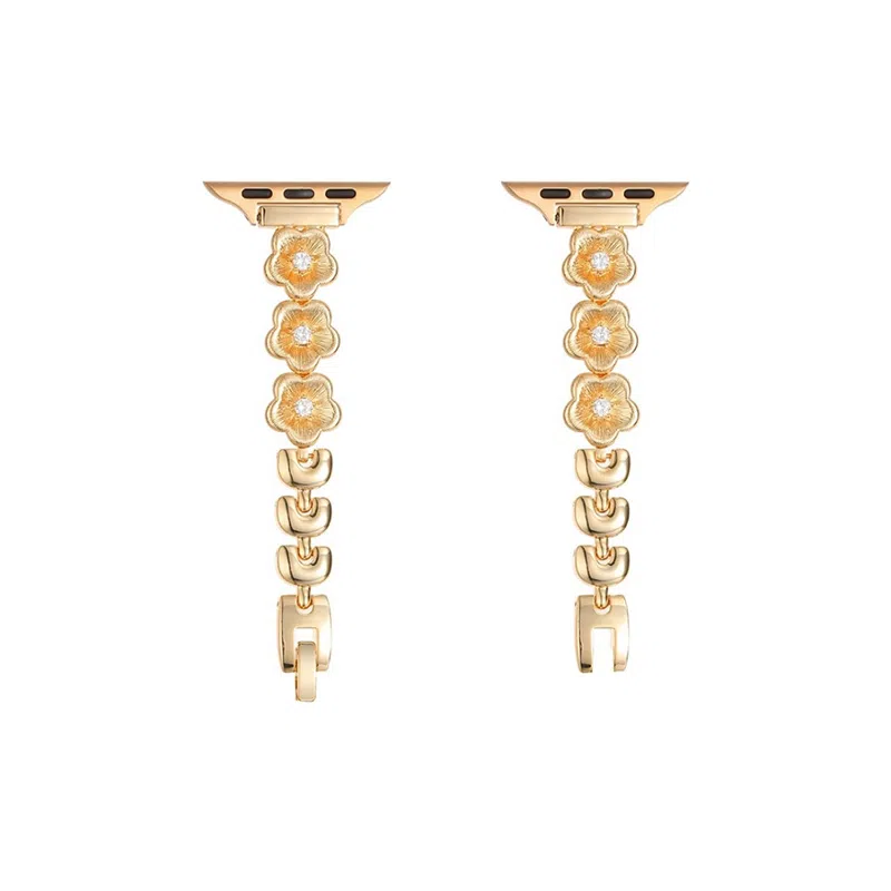 FZRT Huawei Fit Strap Metal Chain