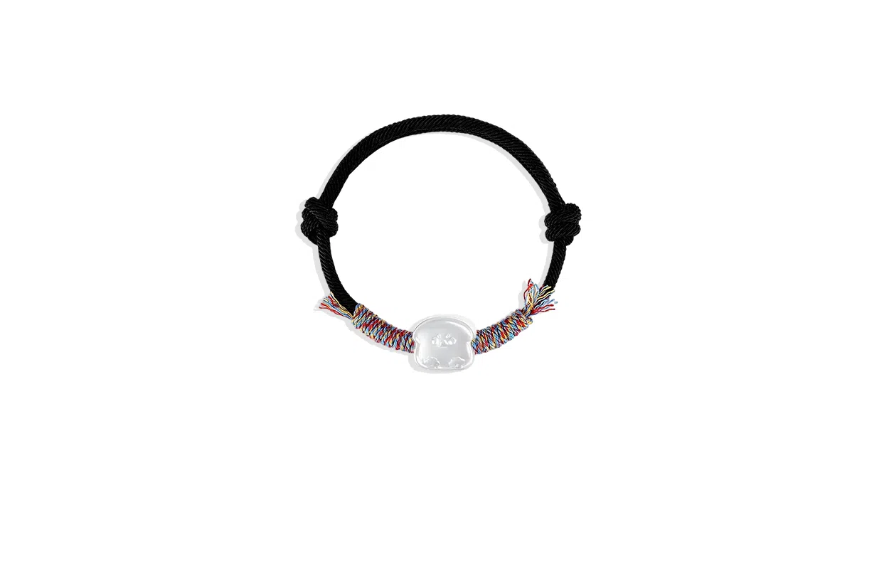 JOYDINNY ins cp s999