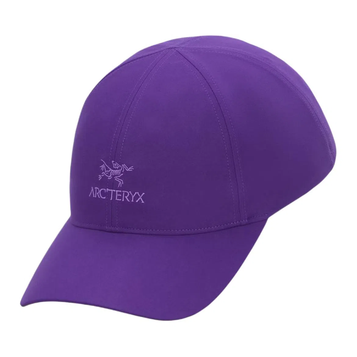 Arcteryx Bird Word Cap