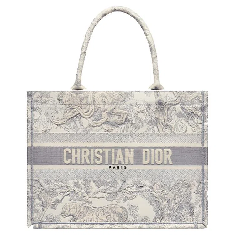 DIOR BookTote Tote