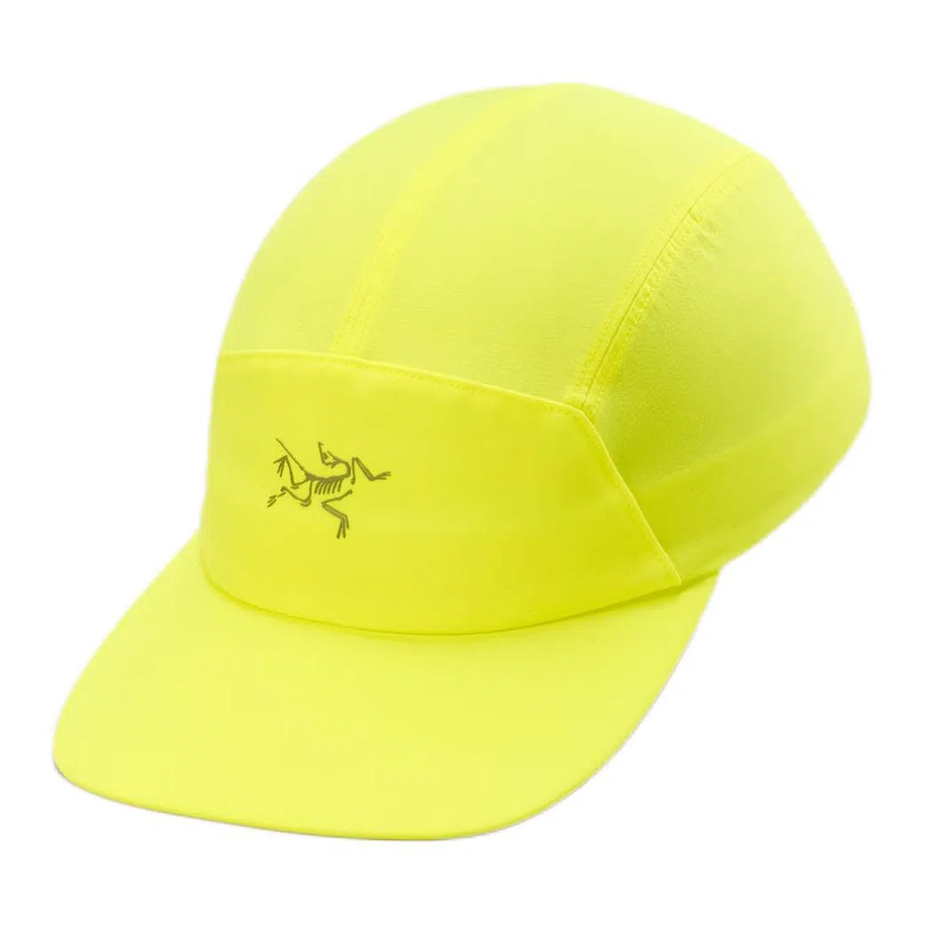 Arcteryx Logo Cap Purple