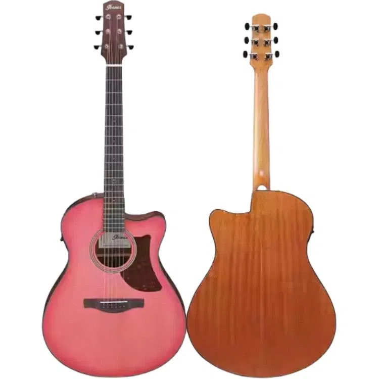 Ibanez AAM50AAM54AAM50CE 41