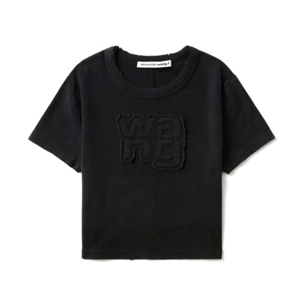 alexander wang logo T