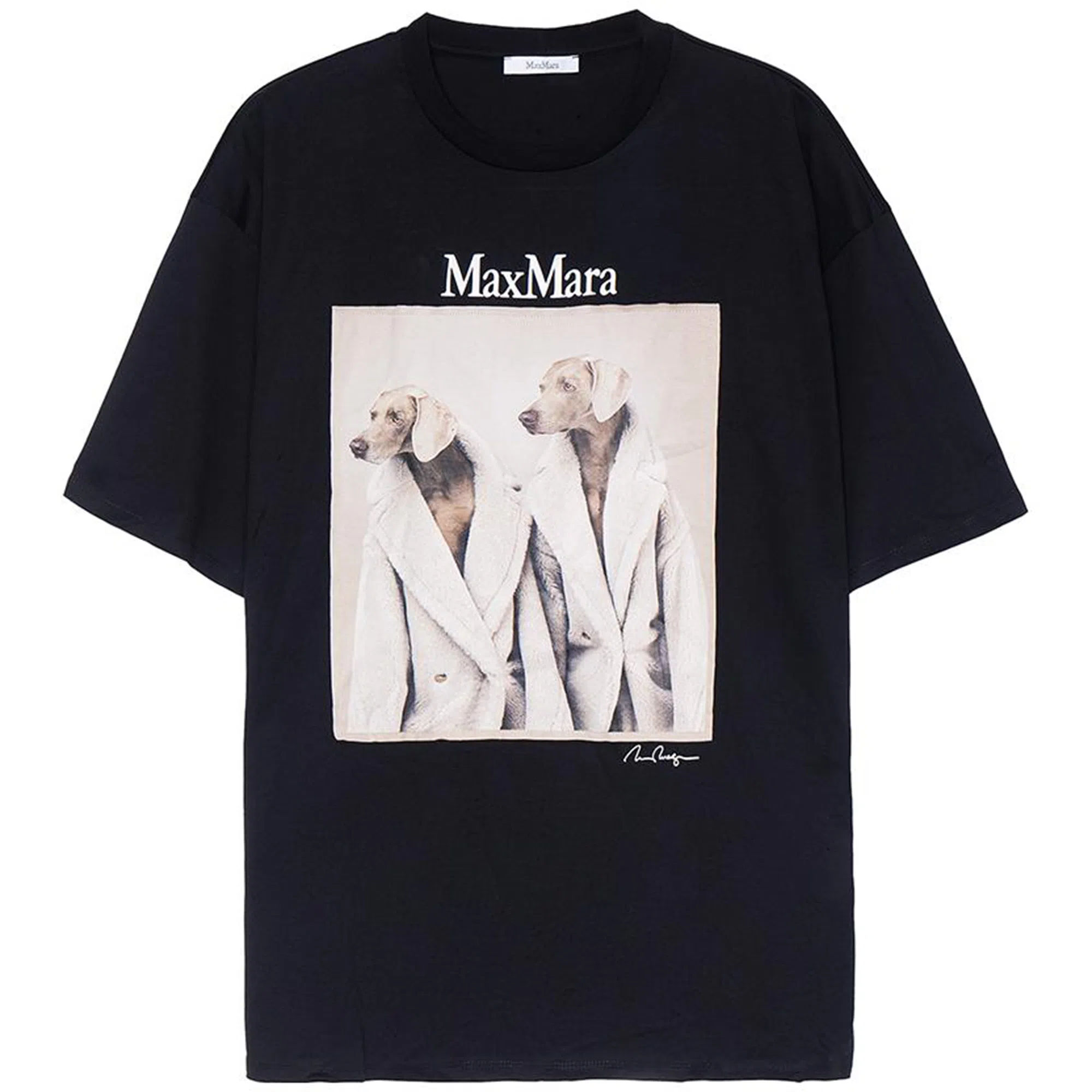 MaxMara T