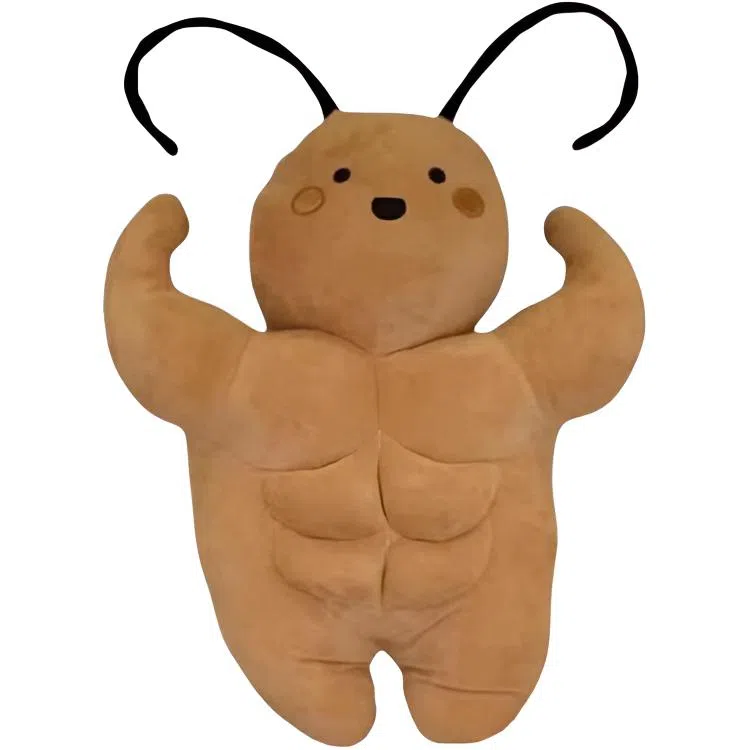 35cm50cm