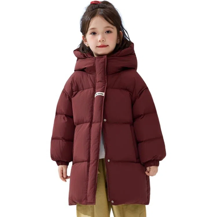 鸭鸭羽绒服 常规长袖立领宽松通勤风 青少年