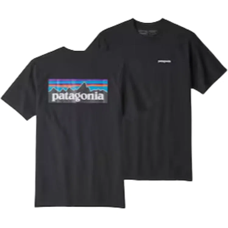 patagonia T