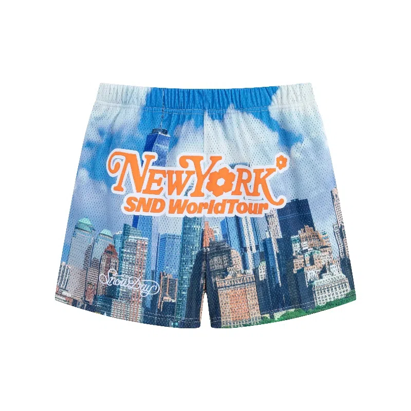 Snowday NewYork Mesh Short