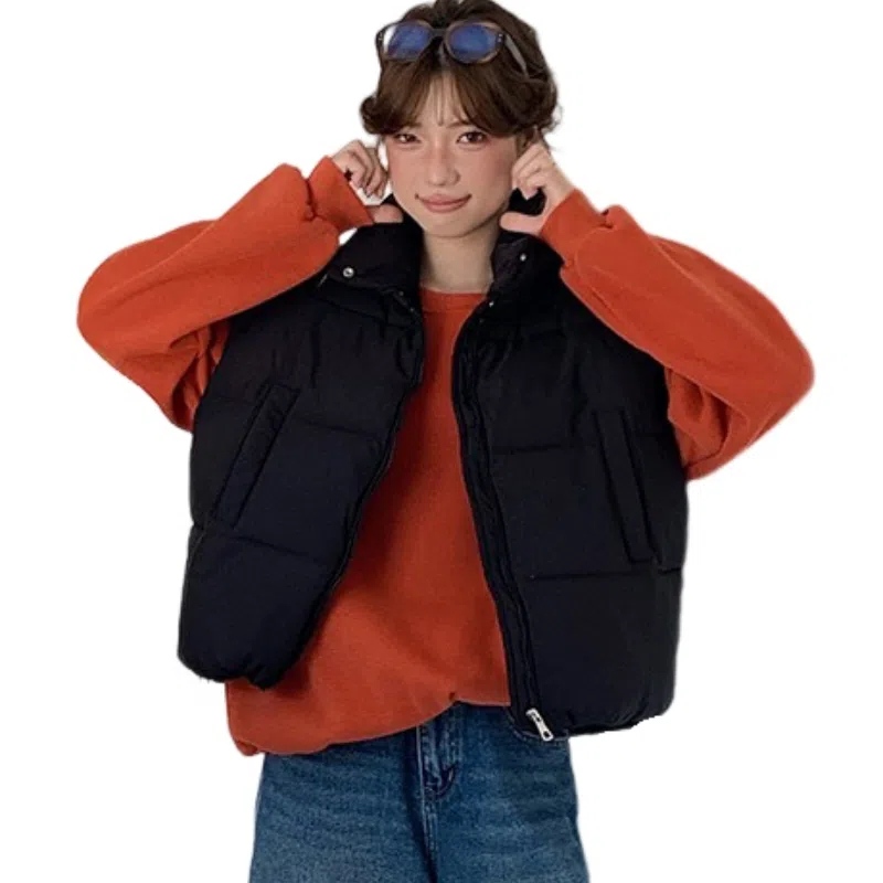 GOSO 2025ins