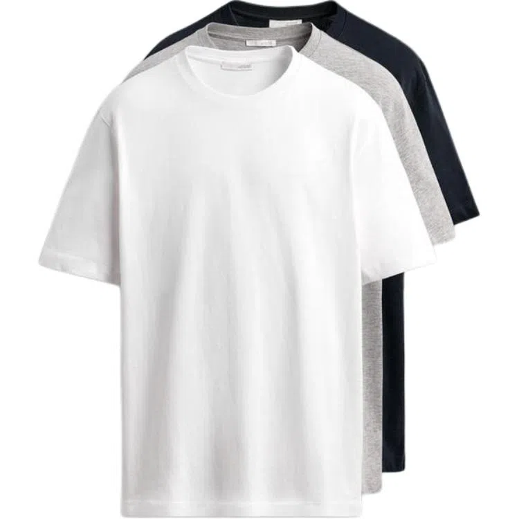 ZARA T 3
