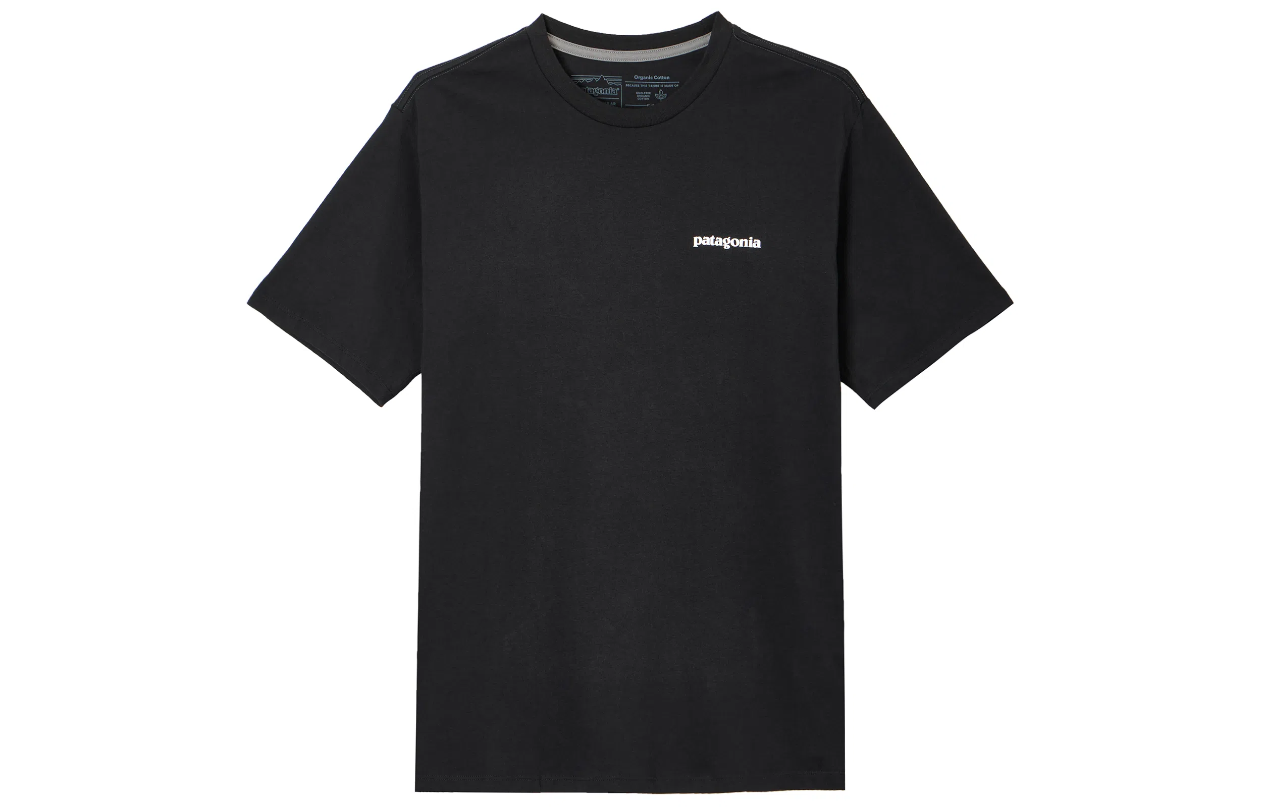patagonia T