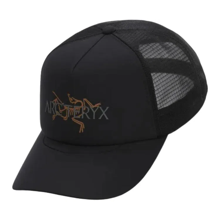 Arcteryx Logo Cap Black