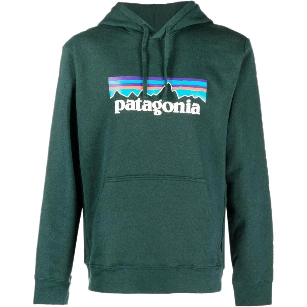 Patagonia Logo Hoodie
