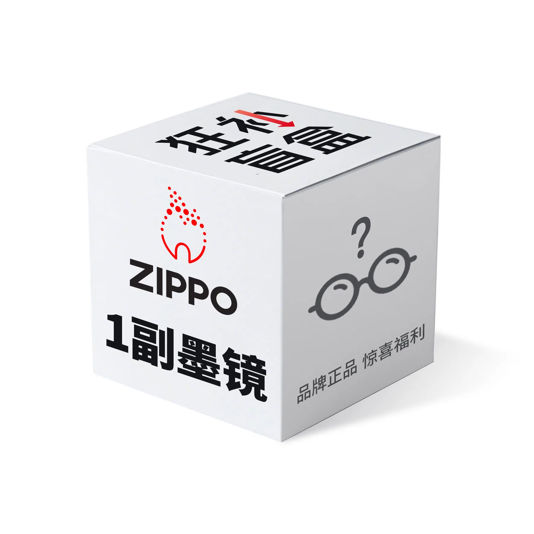 ZIPPO Sunglasses