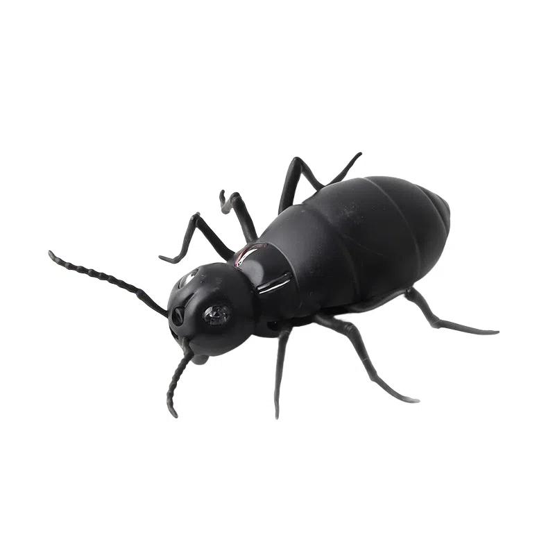 咕轹 搞怪遥控电动 蜘蛛 蟑螂 蚂蚁 创意整蛊玩具