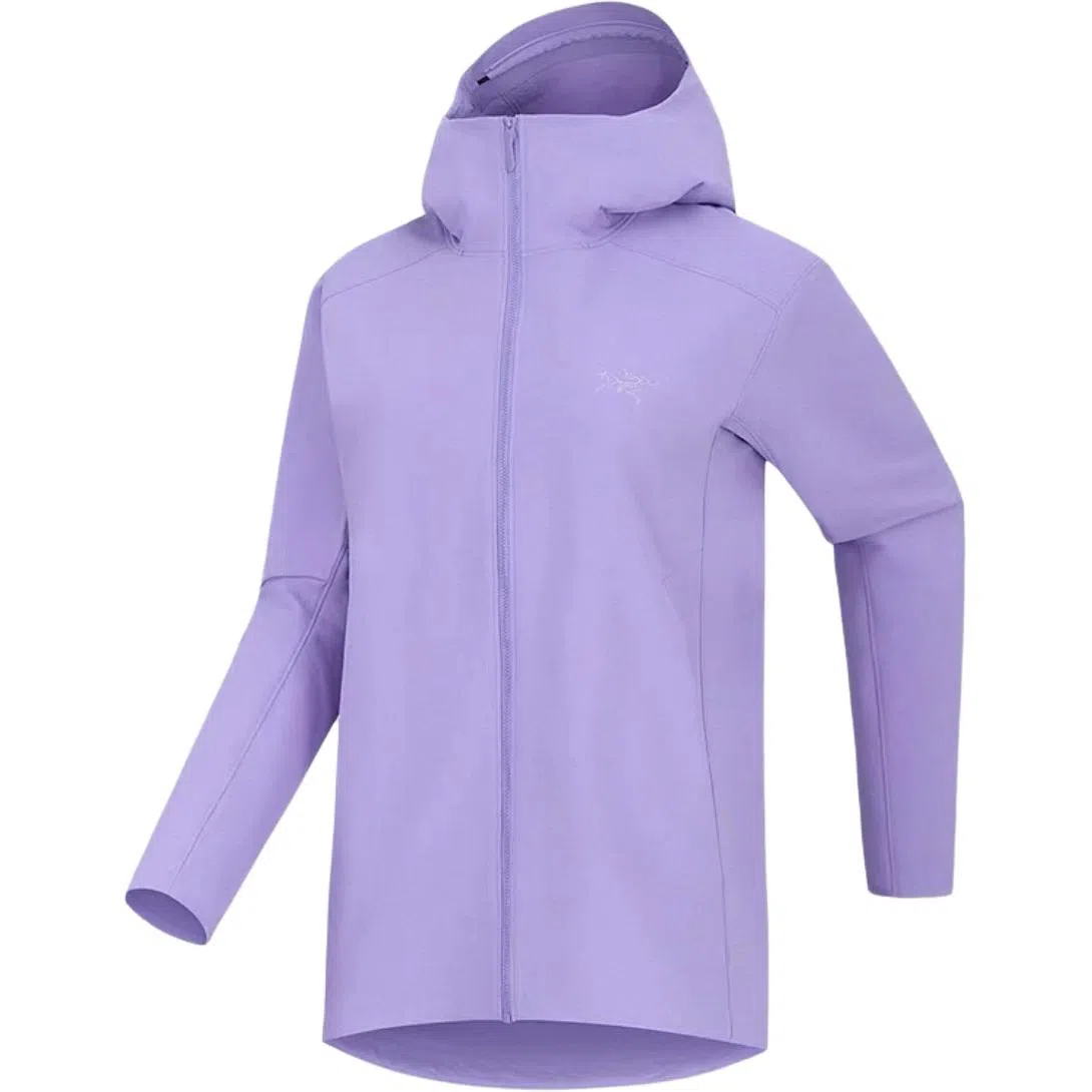 Arcteryx Gamma Hoody