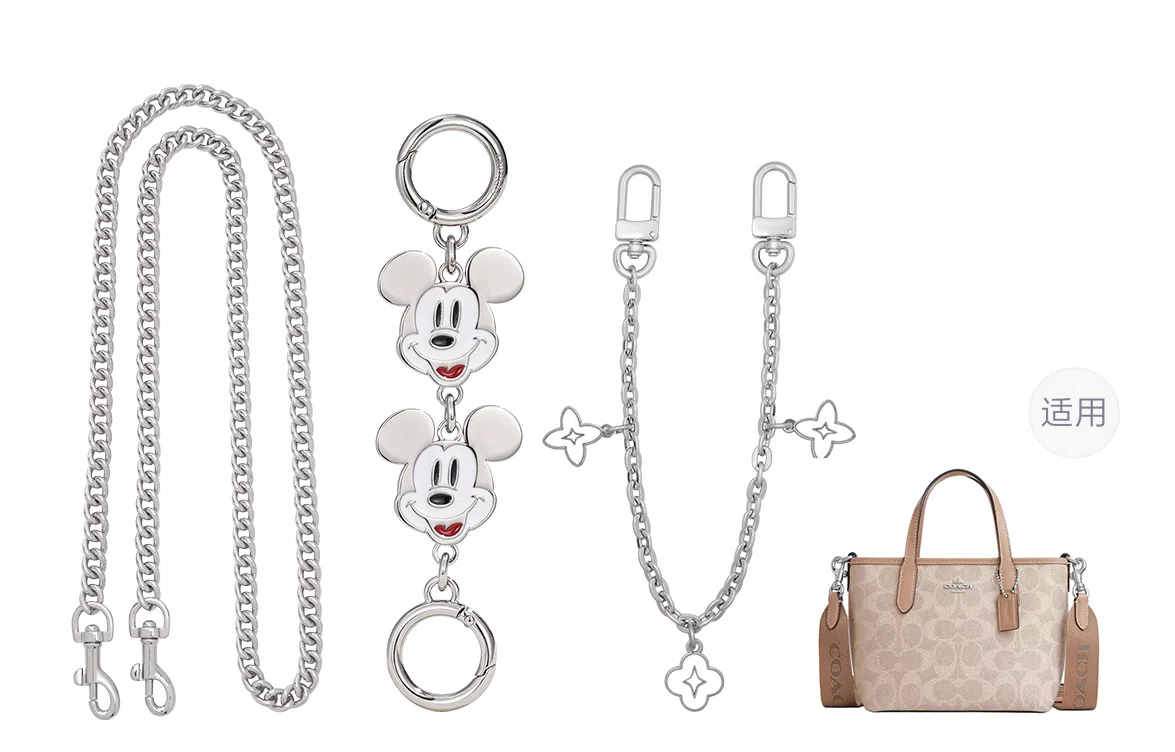 Disney COACH city15 diy