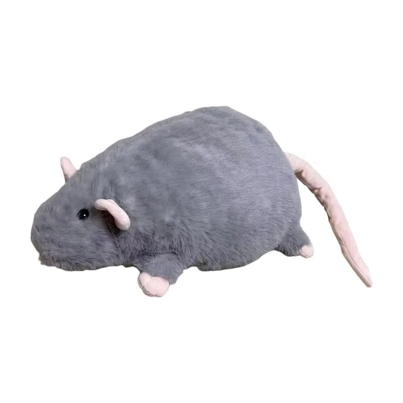 Brangdy 40cm55cm90cm