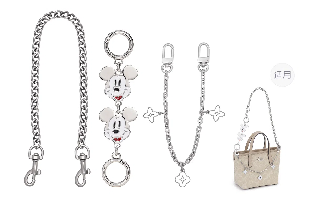 Disney COACH city15 diy