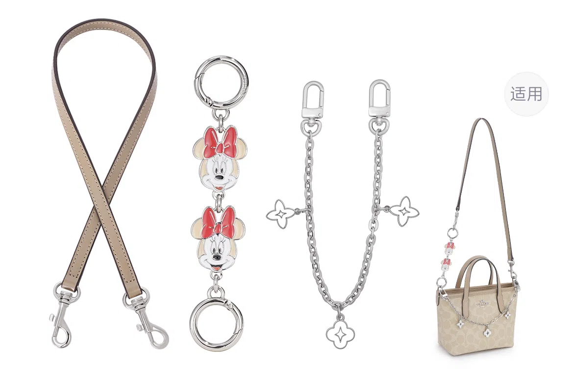 Disney COACH city15 diy