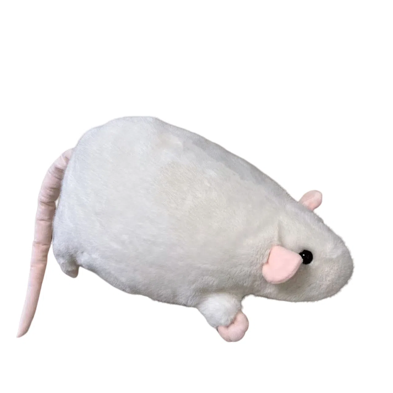 Brangdy 40cm55cm90cm