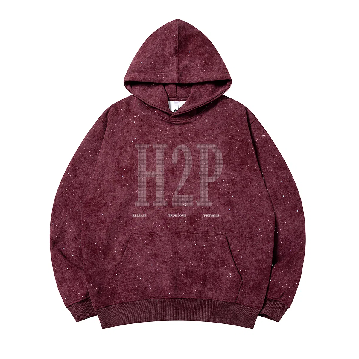 H2P logo