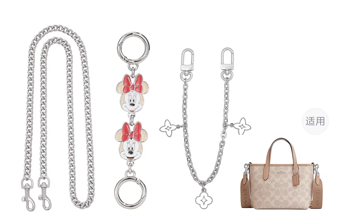 Disney COACH city15 diy