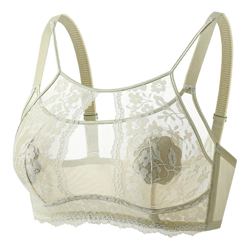 二三二三 性感镂空蕾丝网纱内衣轻薄舒适聚拢显瘦防下垂收副乳呼吸感胸罩时尚百搭日常无钢圈可调节肩带文胸 女款