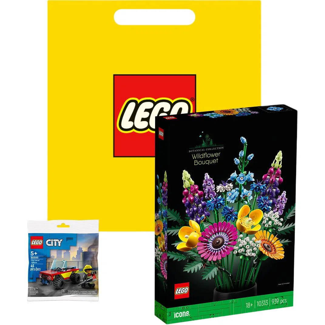 LEGO Icons 10313