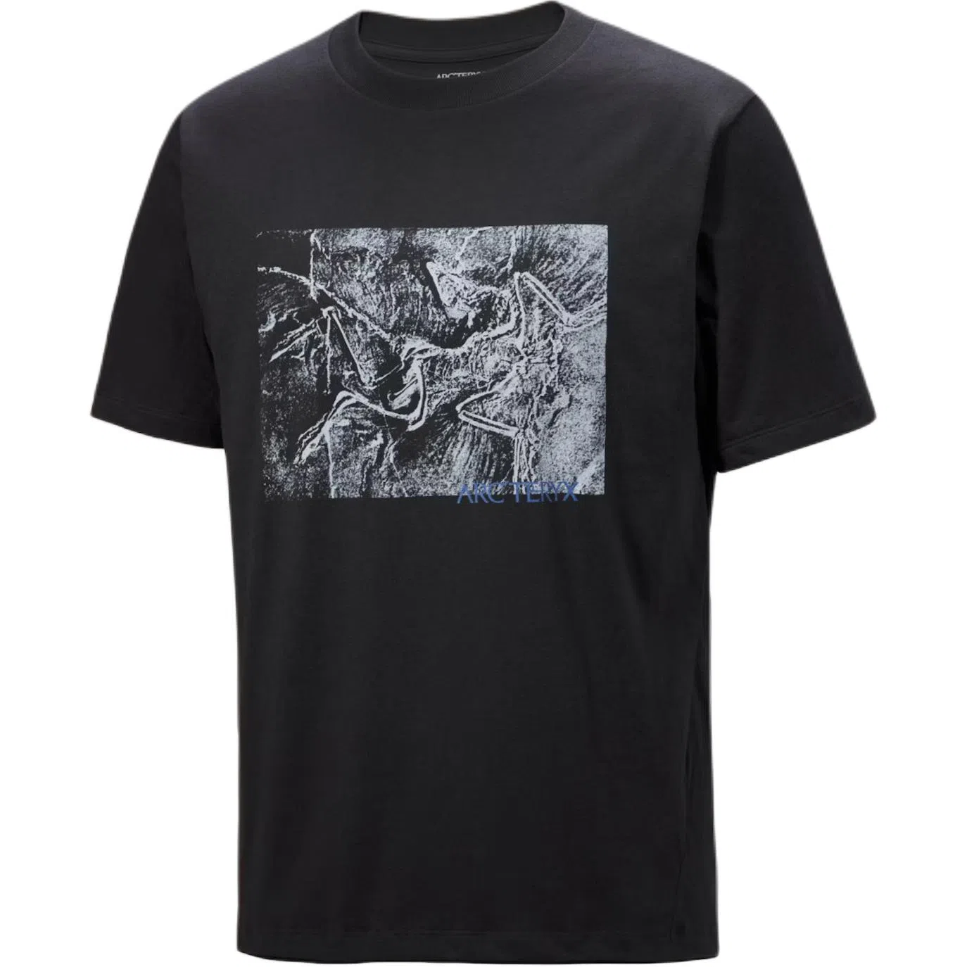 Arcteryx KRAGG SS25 COTTON LITHOGRAPHICA logoT