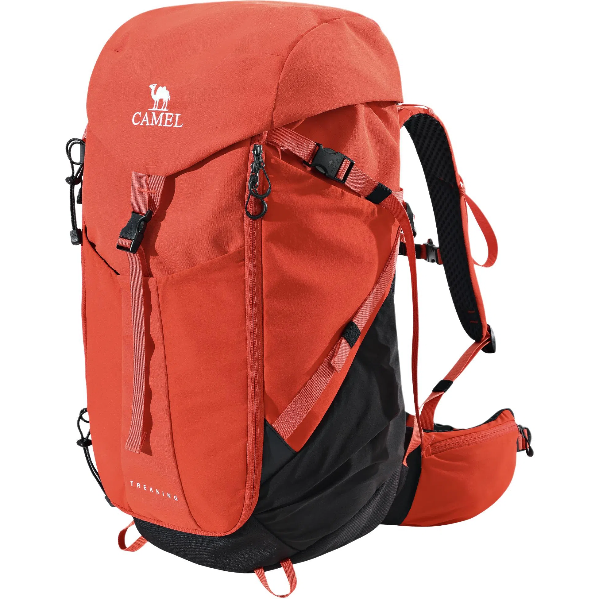 CAMEL33L