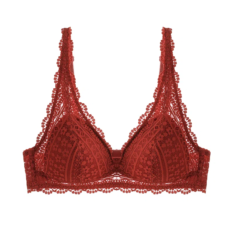 内在密码 本命年内衣女蕾丝性感小胸三角杯无钢圈上托防垂结婚新娘文胸 女款
