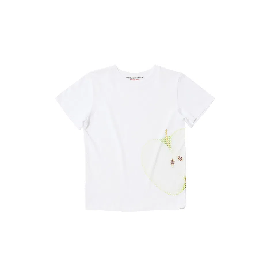 THE MUSEUM VISITOR T