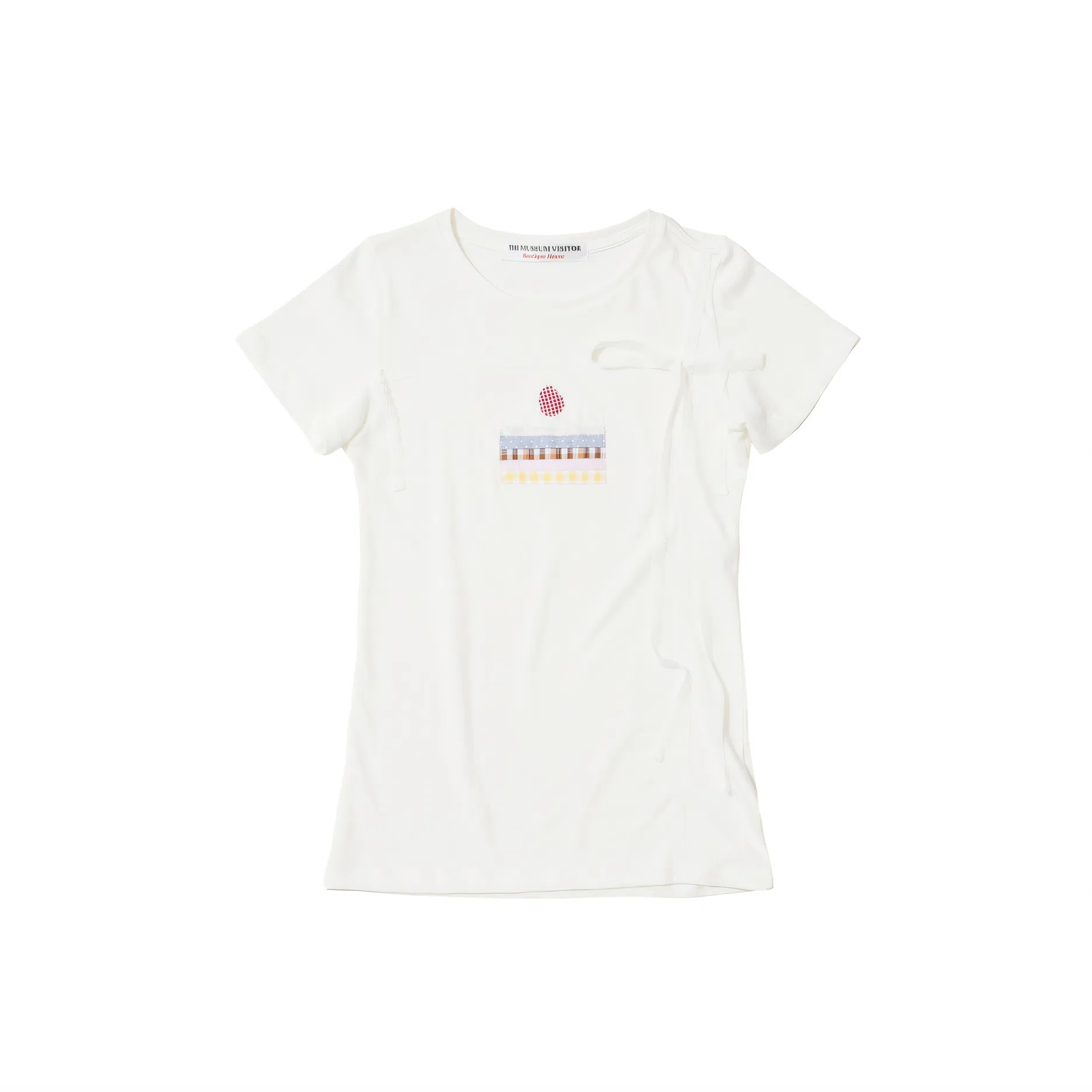 THE MUSEUM VISITOR T