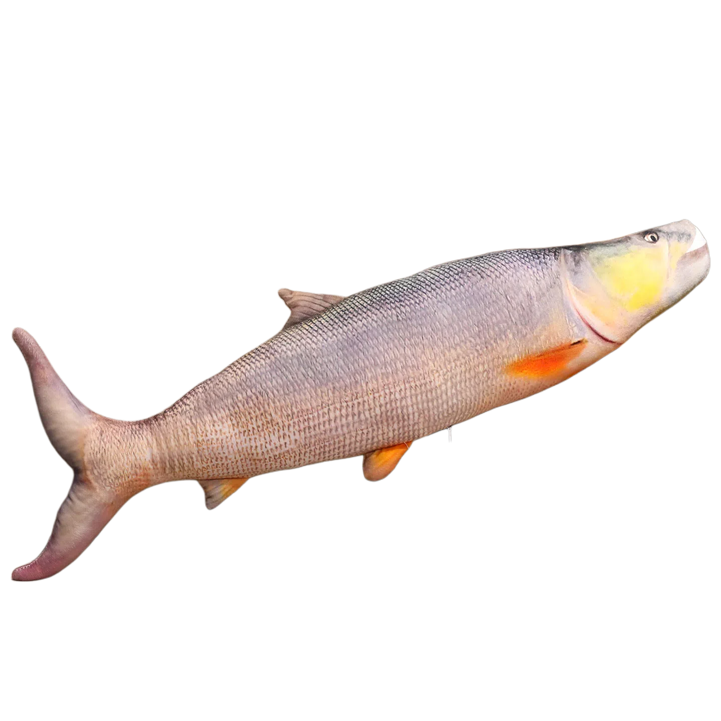 WADORN 40cm60cm80cm100cm