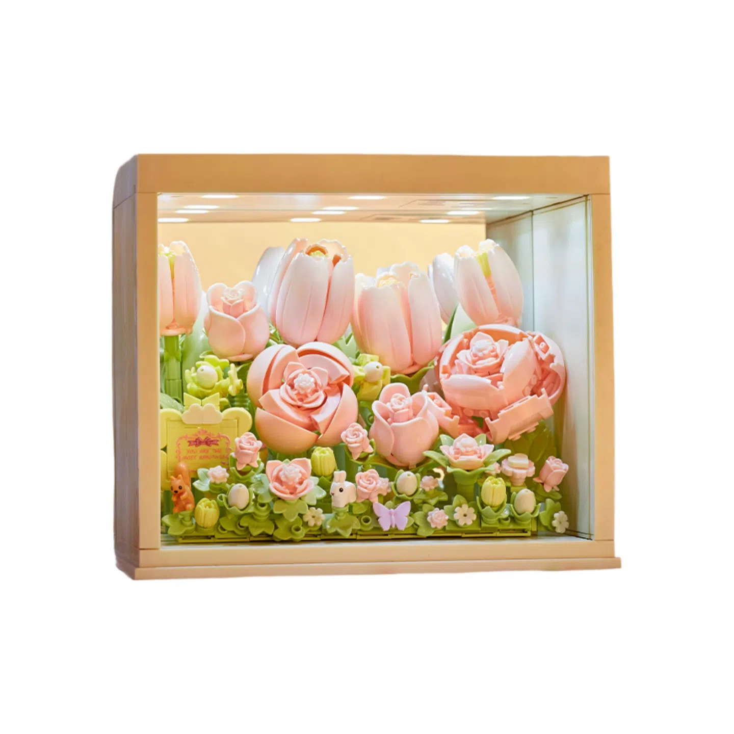 CANEXT 3d 430pcs CANEXT-GD-YMZL