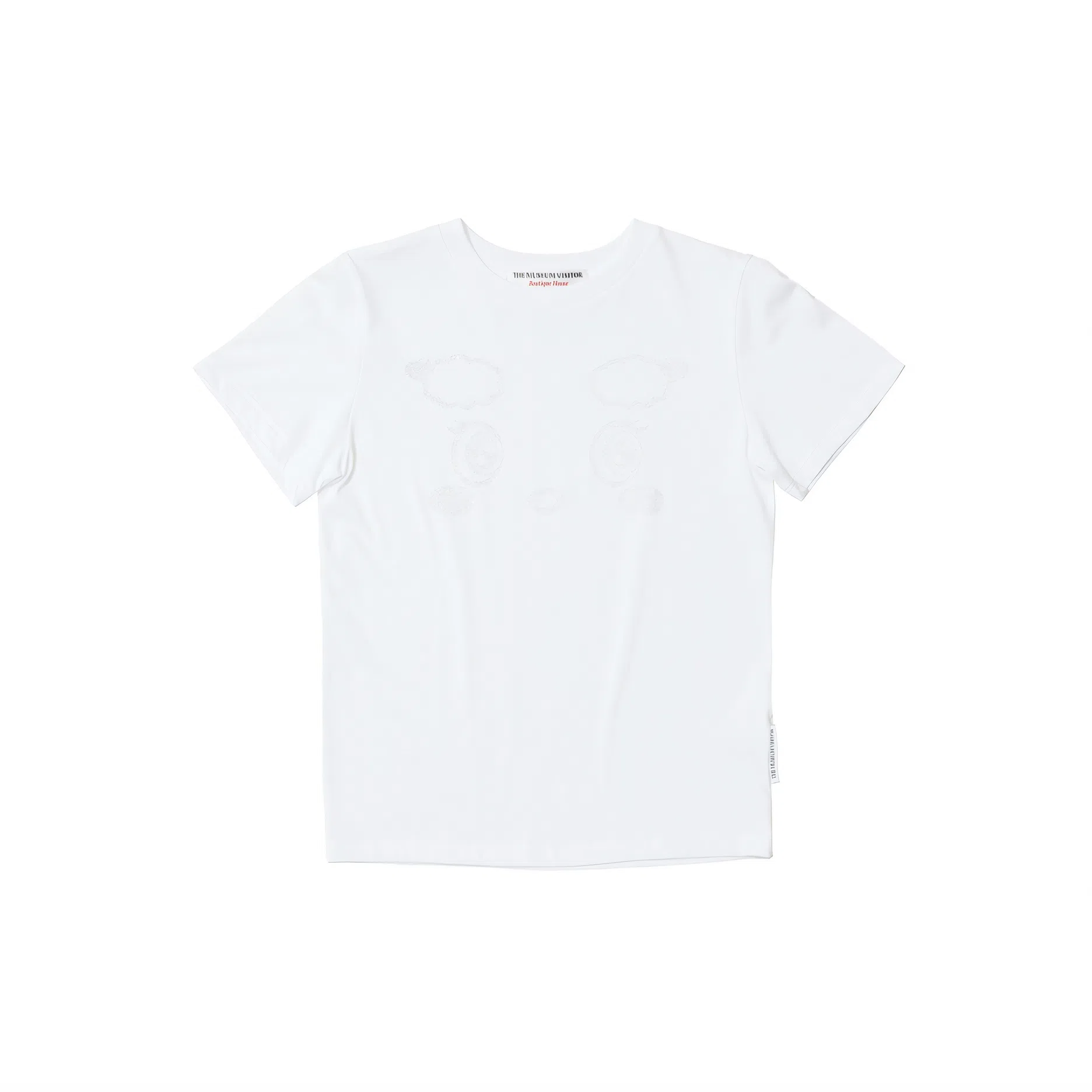 THE MUSEUM VISITOR T