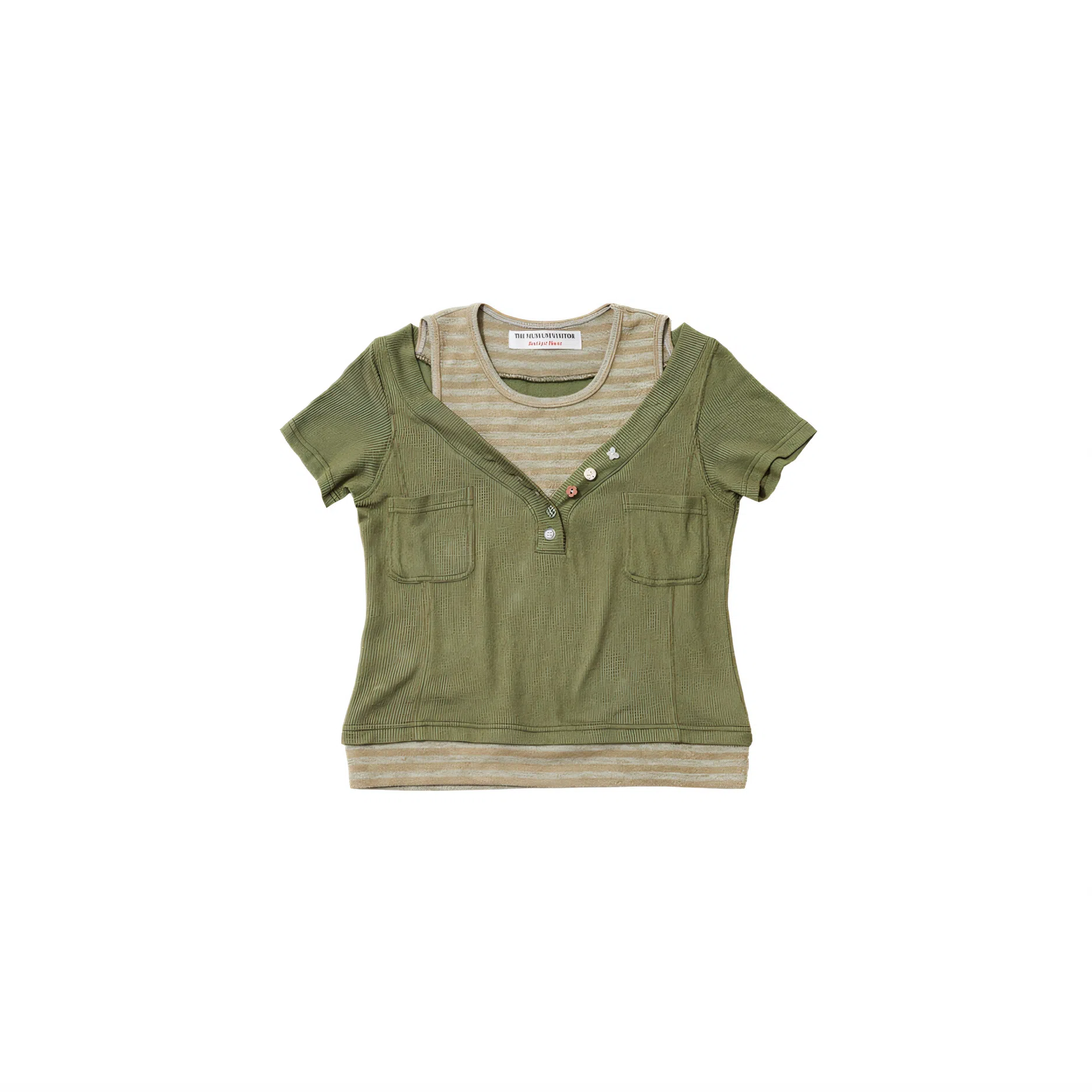 THE MUSEUM VISITOR T